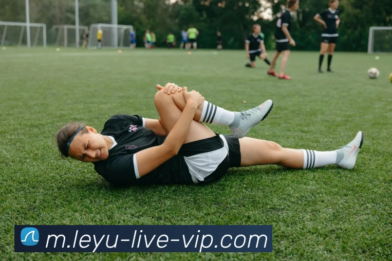 乐鱼体育平台生态图